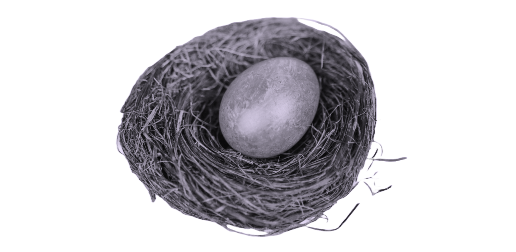 zygote in waiting